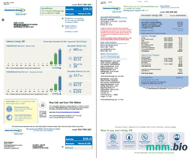 USA Consumers Energy rachunek za media szablon w formacie Word i PDF, 2 strony